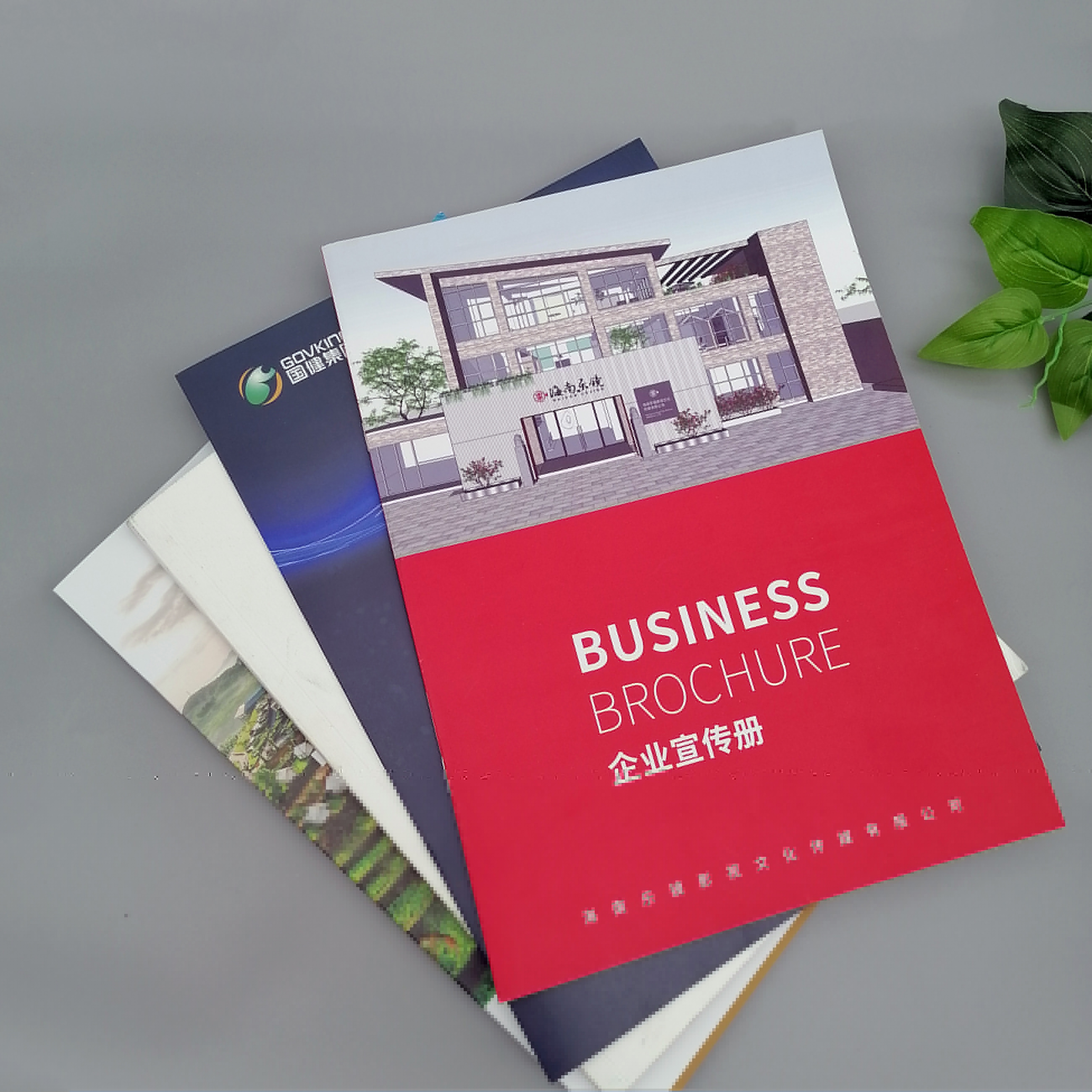 海口廣告、海口畫冊廣告